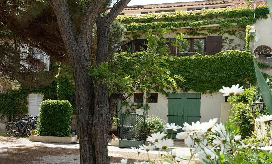 Residence Les Mandariniers Hyères Buitenkant foto