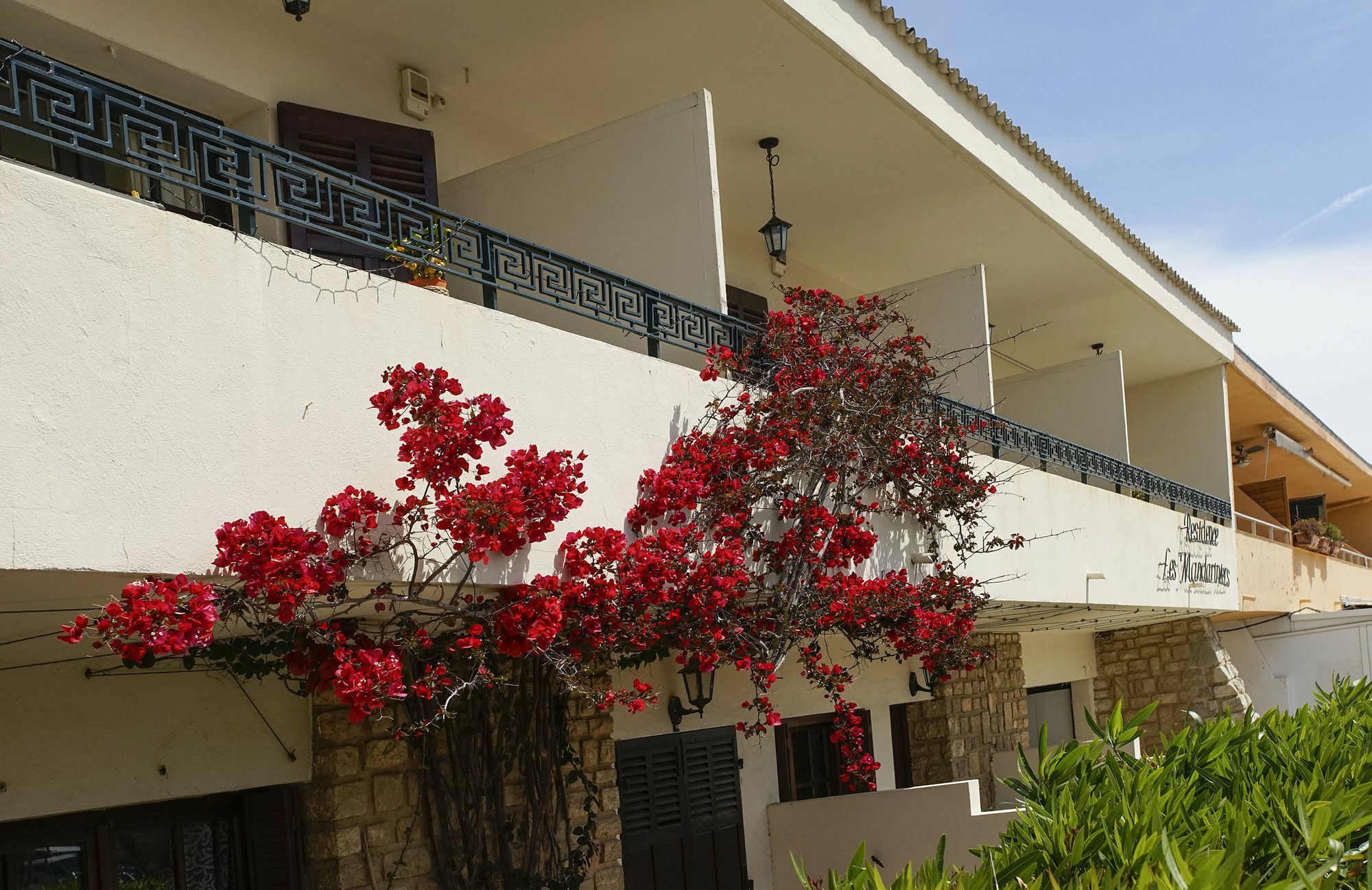 Residence Les Mandariniers Hyères Buitenkant foto
